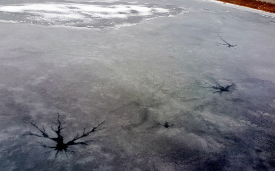 계속된 한파로 절대 녹지 않을 것 같던 강원 정선군 정선읍 조양강이 조금씩 녹으면서 7일 정선 제2교 아래 빙판 위에 거대한 새 발자국 모양을 만들었다.